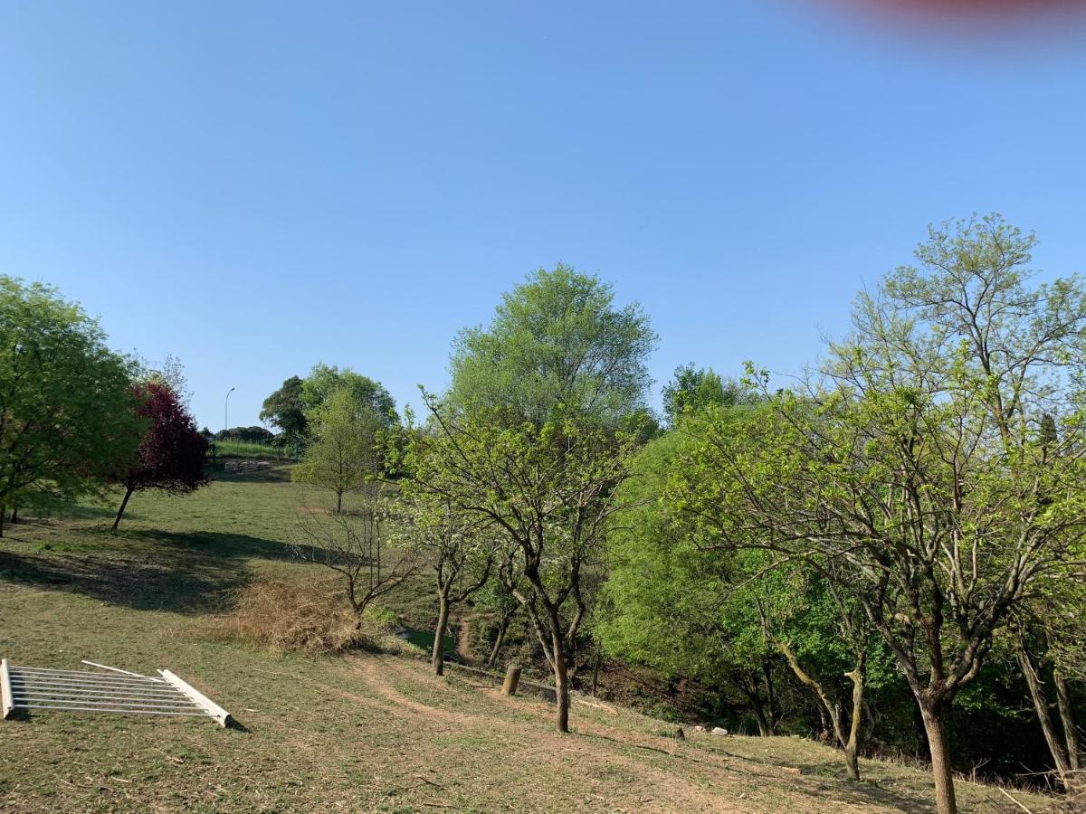 Villa Isidoro Ampio Parco ,Piscina Privata, Arte E Giochi , Fitness Verona Exterior foto